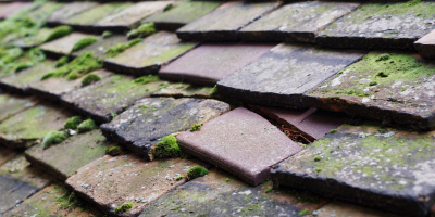 Ley Hill roof repair costs